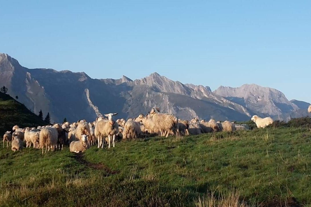 Photo n° 19 de la location