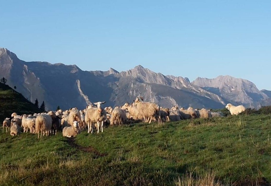 Photo n° 19 de la location