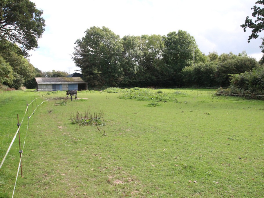 Pâture à disposition