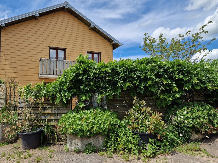 Façade et terrasse - Gîte des 4 vents à Girmont - Val d'Ajol dans les Vosges