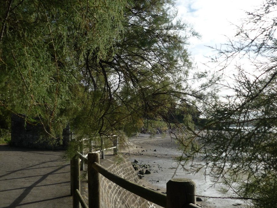 Sentier du littoral (GR34) devant la résidence