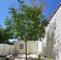 Terrasse du gite