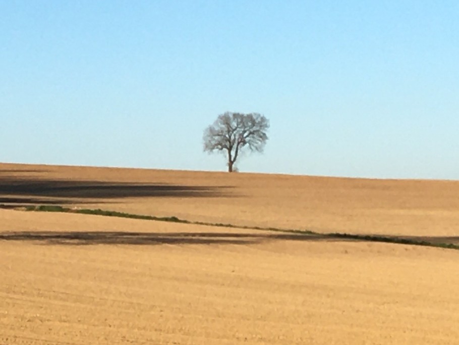 Les Champs Gite Au Bouzigues