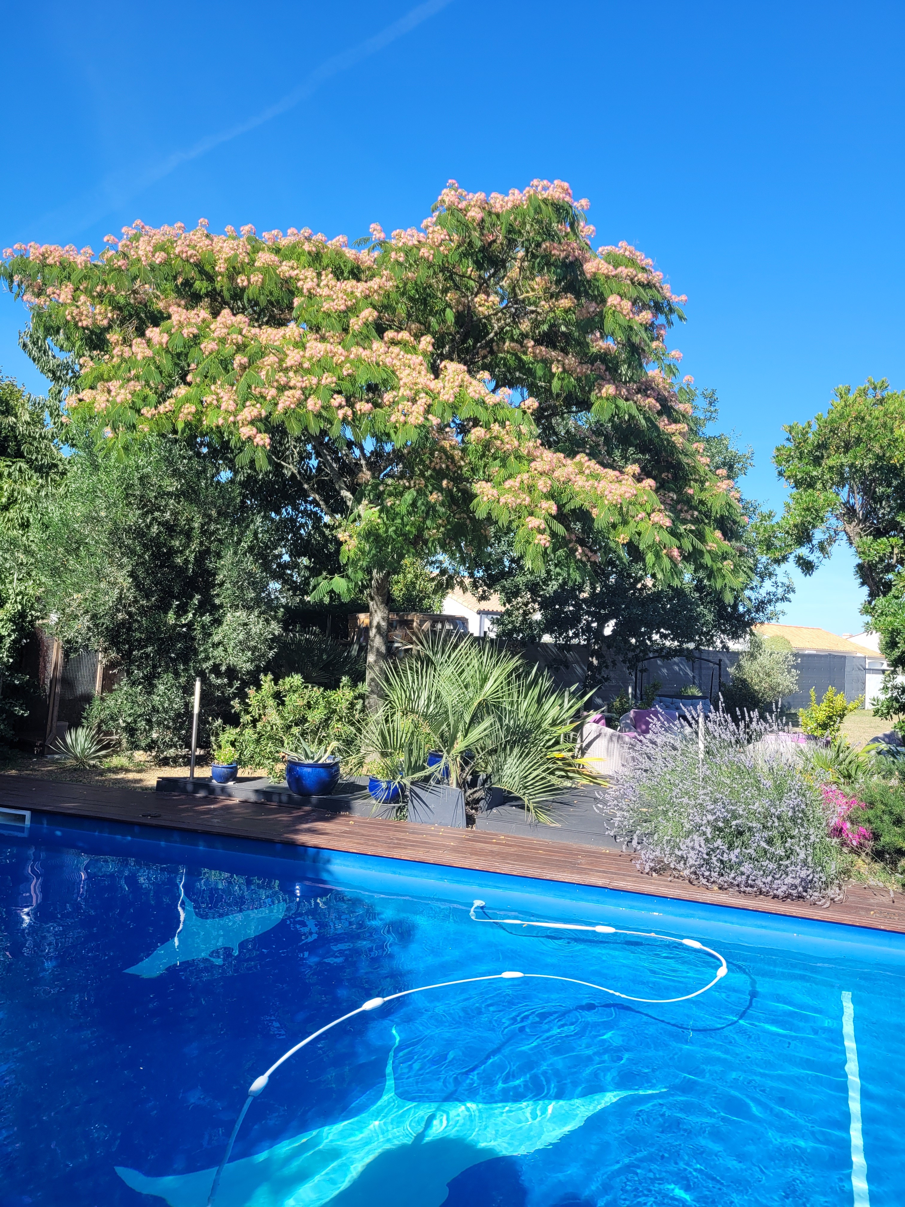 Le jardin