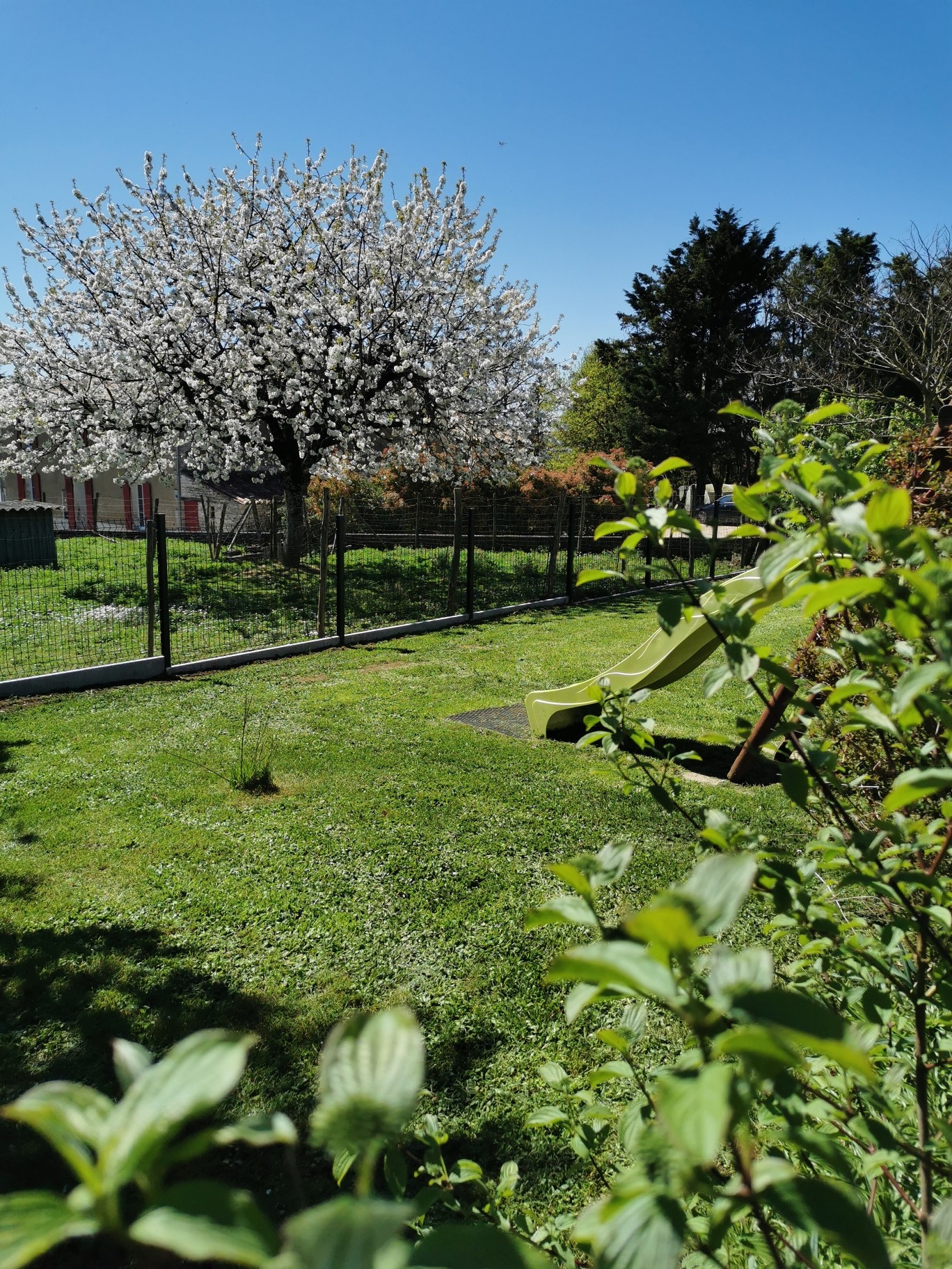 jardin
