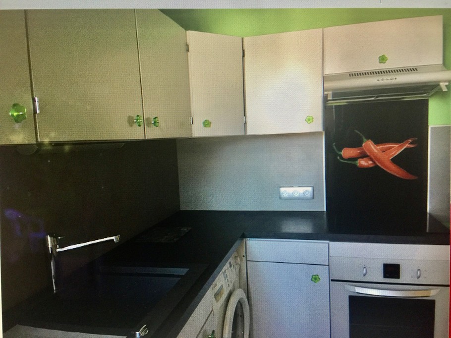 Cuisine indépendante, entièrement équipée : Lave-vaisselle, Plaque induction avec hotte, Lave-linge, Frigo avec congélateur, donnant sur la loggia.