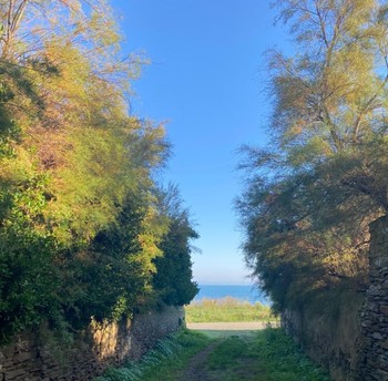 Chemin d'accès vers la plage