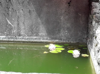 Photo n° 13 of the location