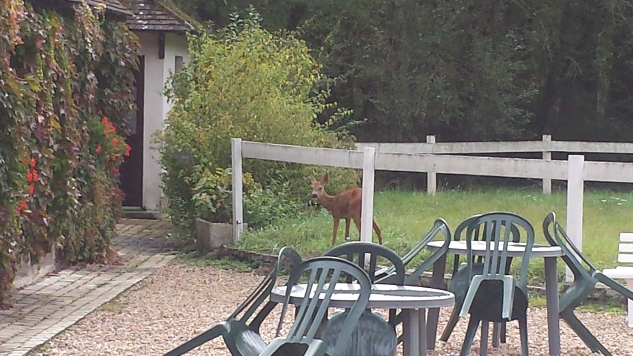 Photo n° 18 de la location