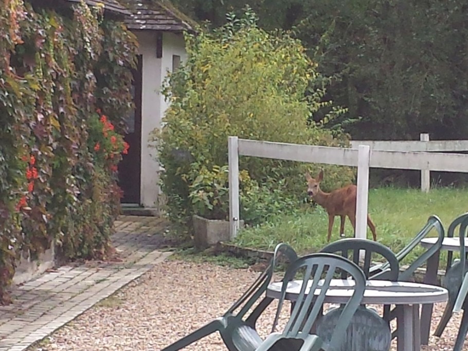 Photo n° 18 de la location