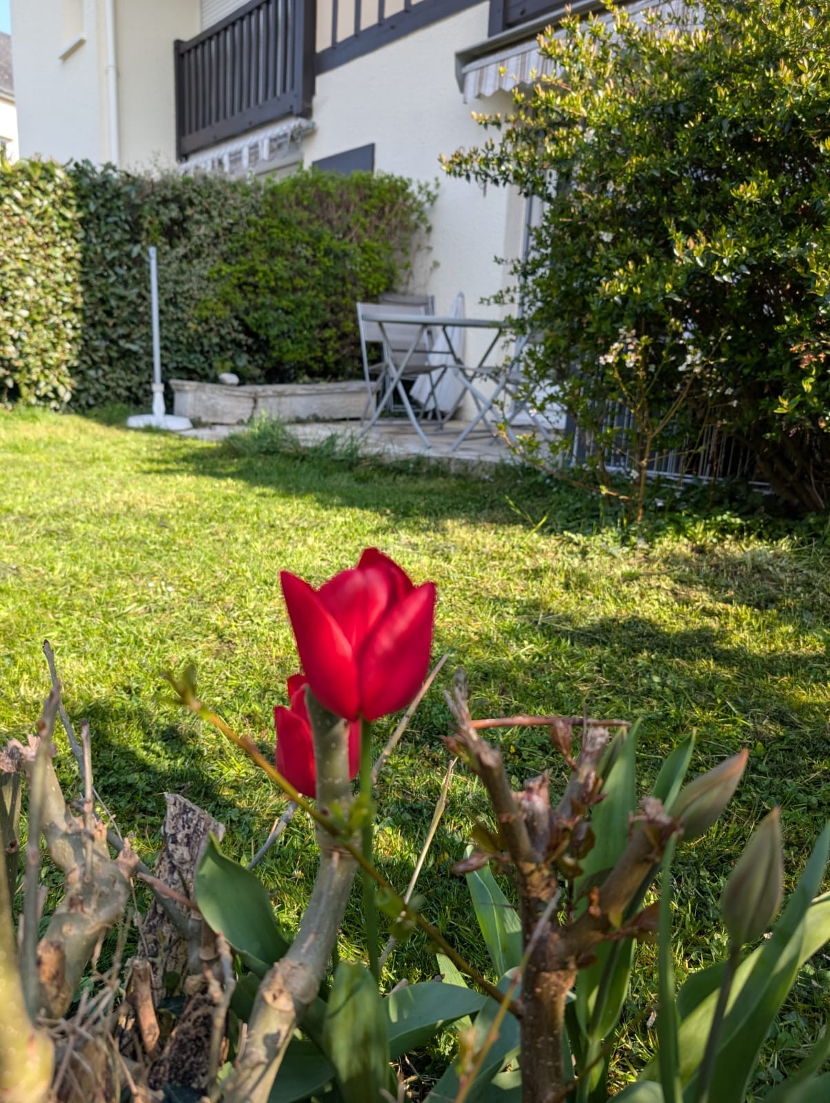 Photo n° 8 de la location