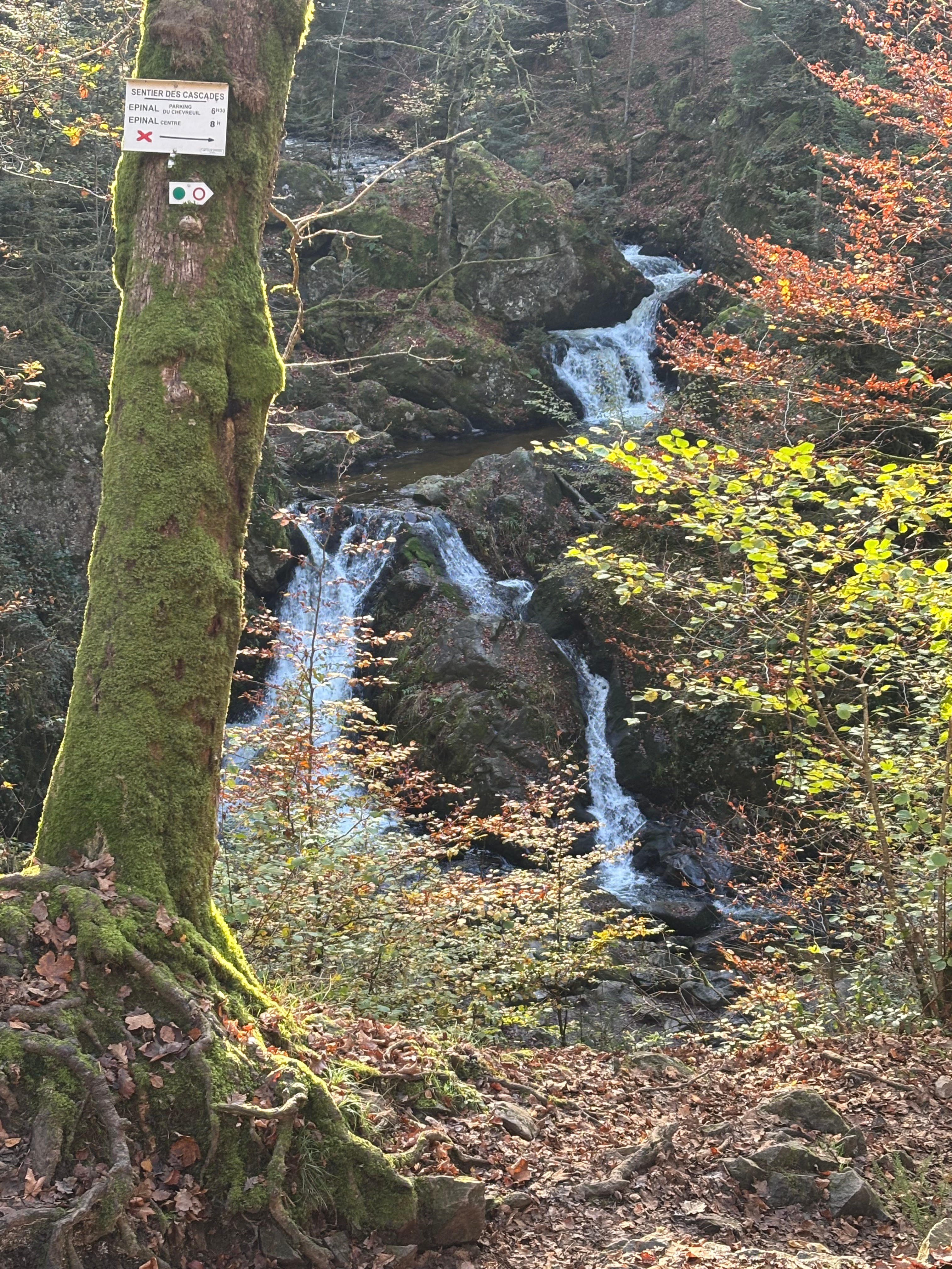 Les cascade de tendon 