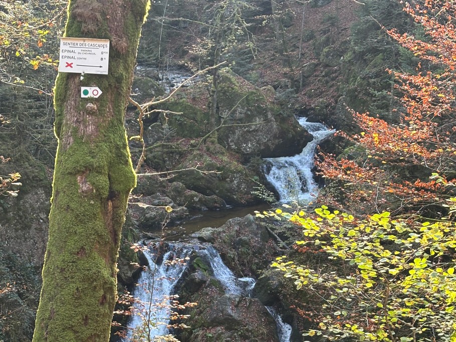 Les cascade de tendon