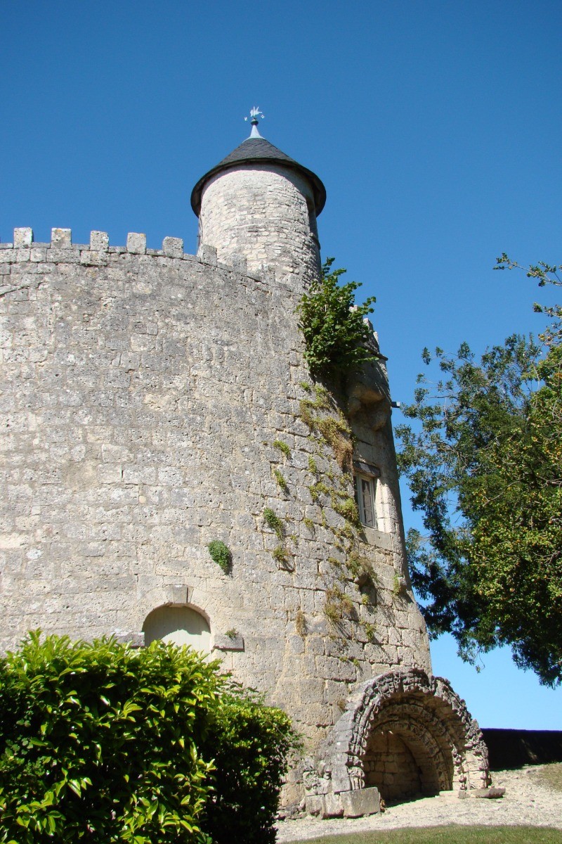 SURGERES - Château © CMT17 C. TRIBALLIER-26.jpg