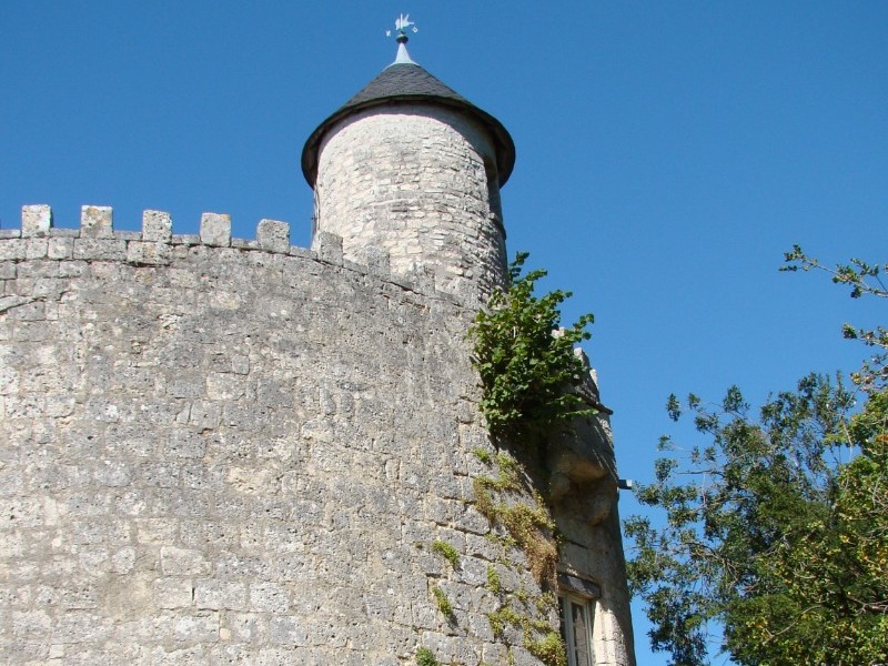 SURGERES - Château © CMT17 C. TRIBALLIER-26.jpg