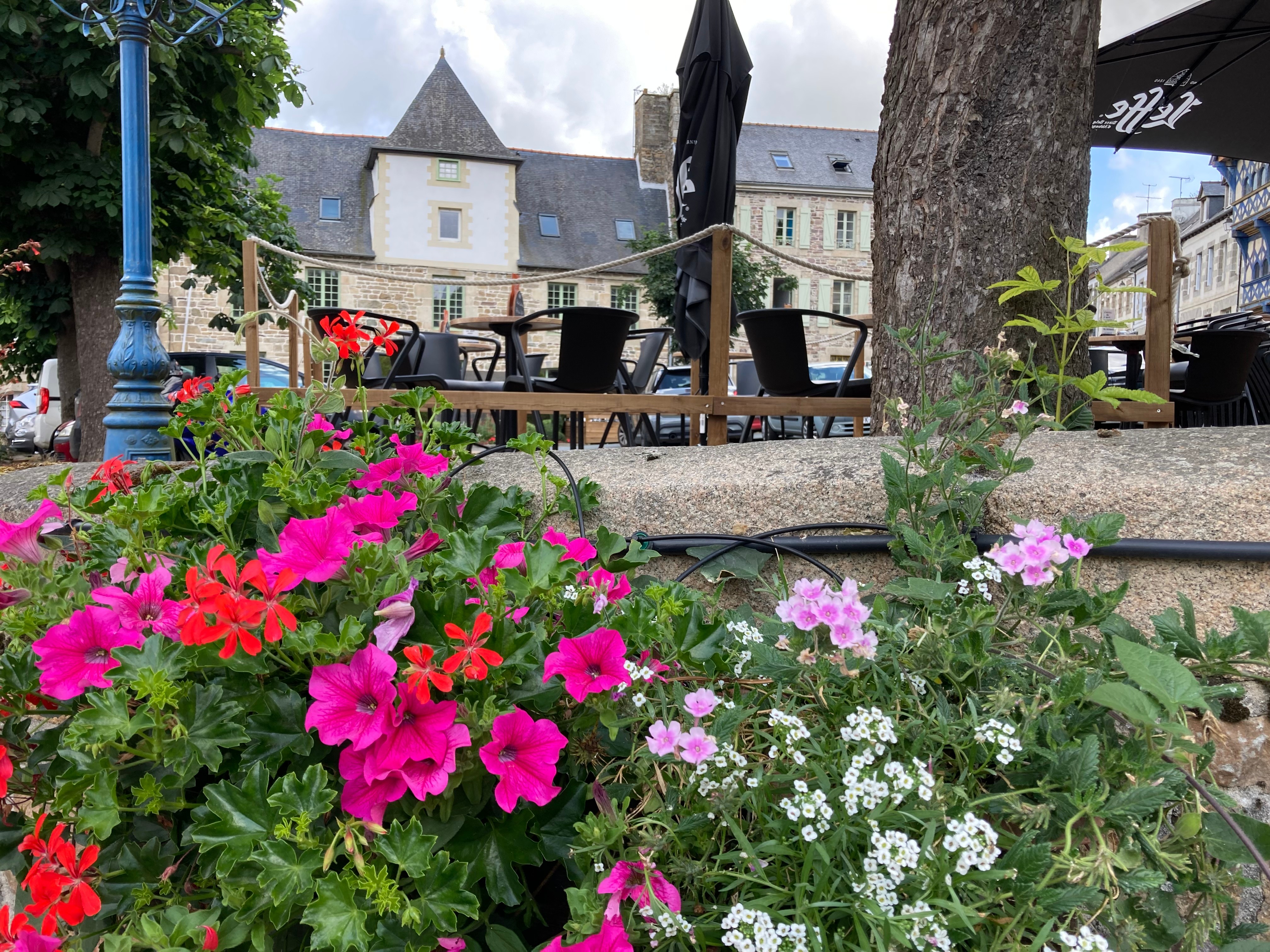 Photo n° 19 de la location