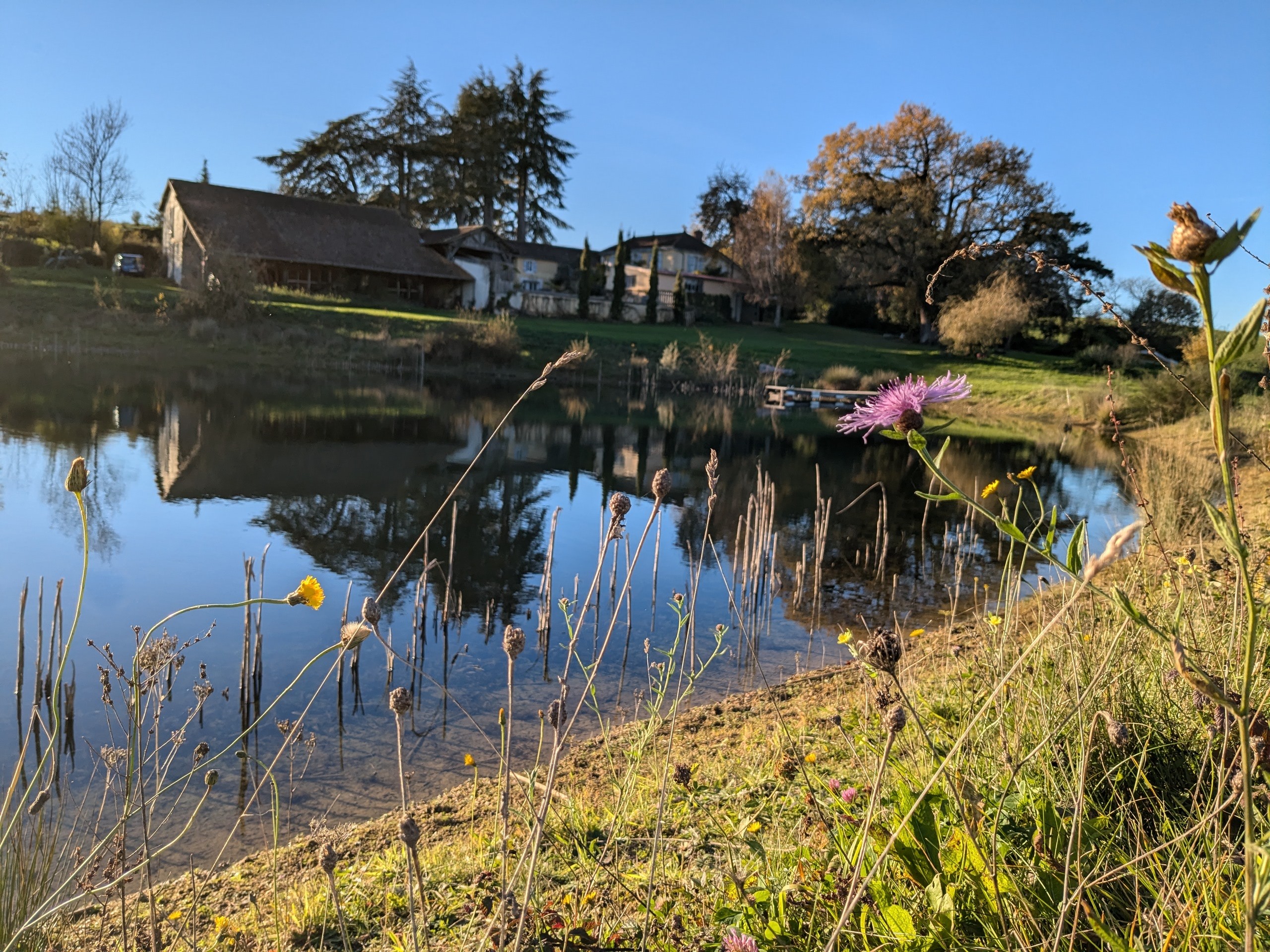 Lac et maison en fond