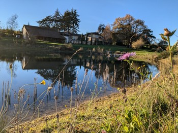 Lac et maison en fond