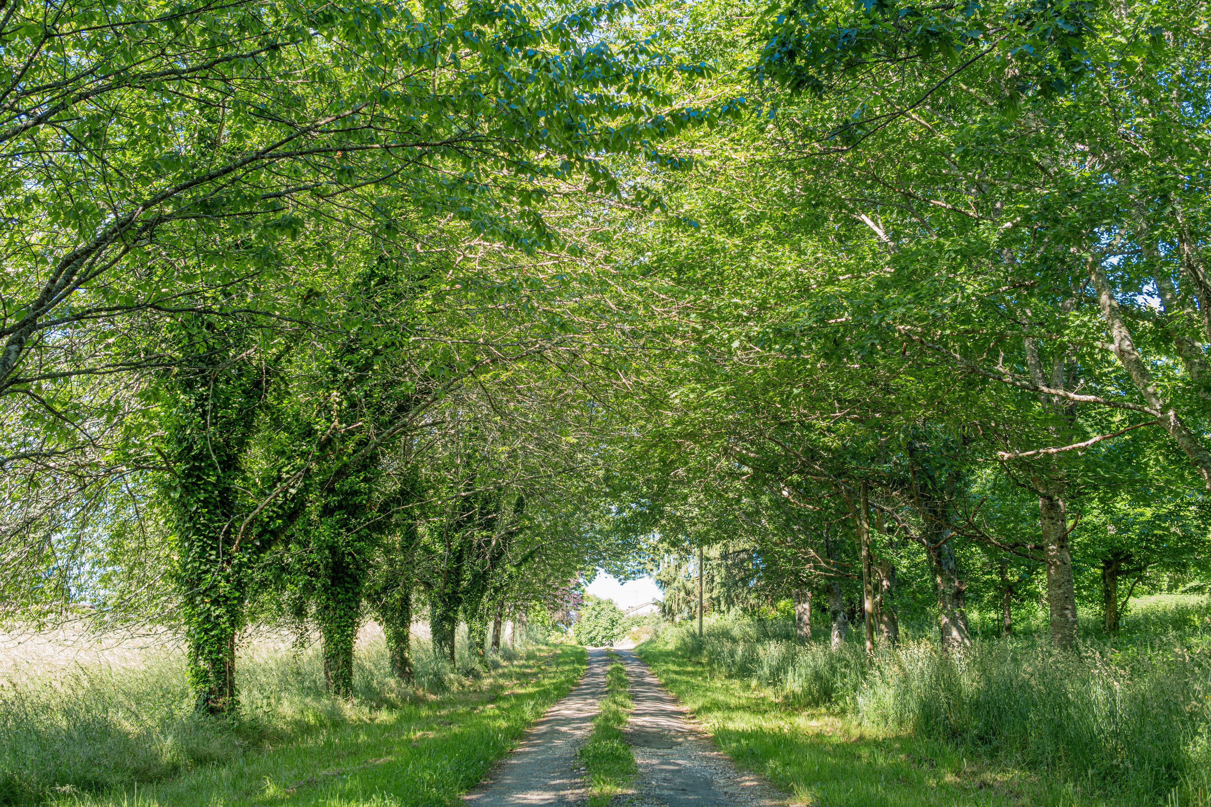 Image n° 2 de la location