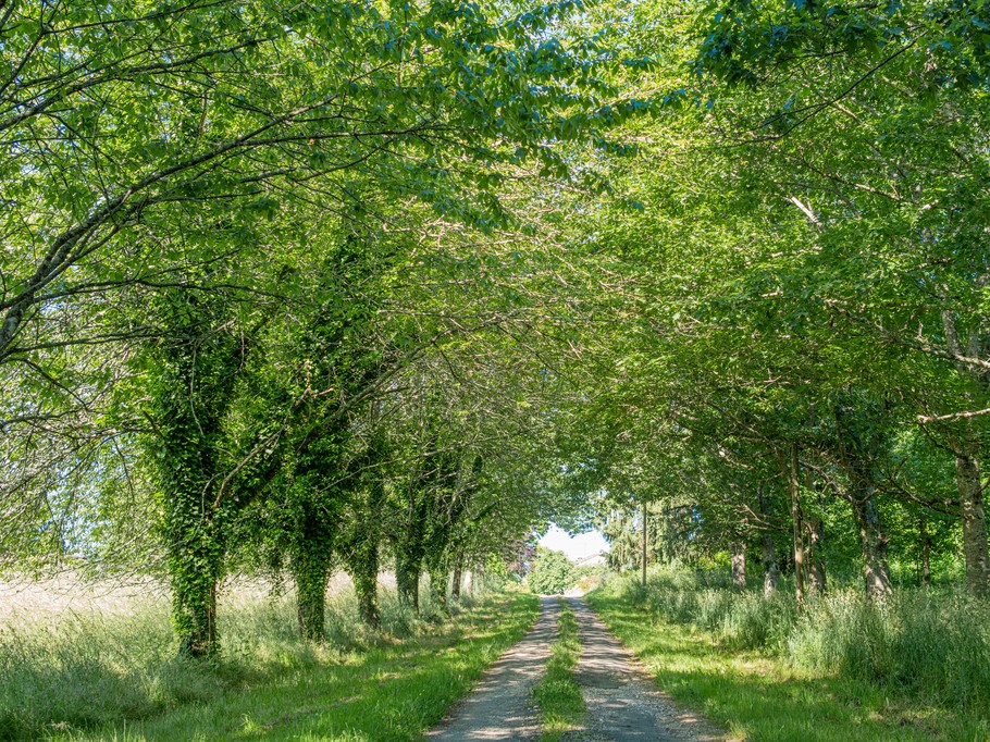 Photo n° 8 of the location