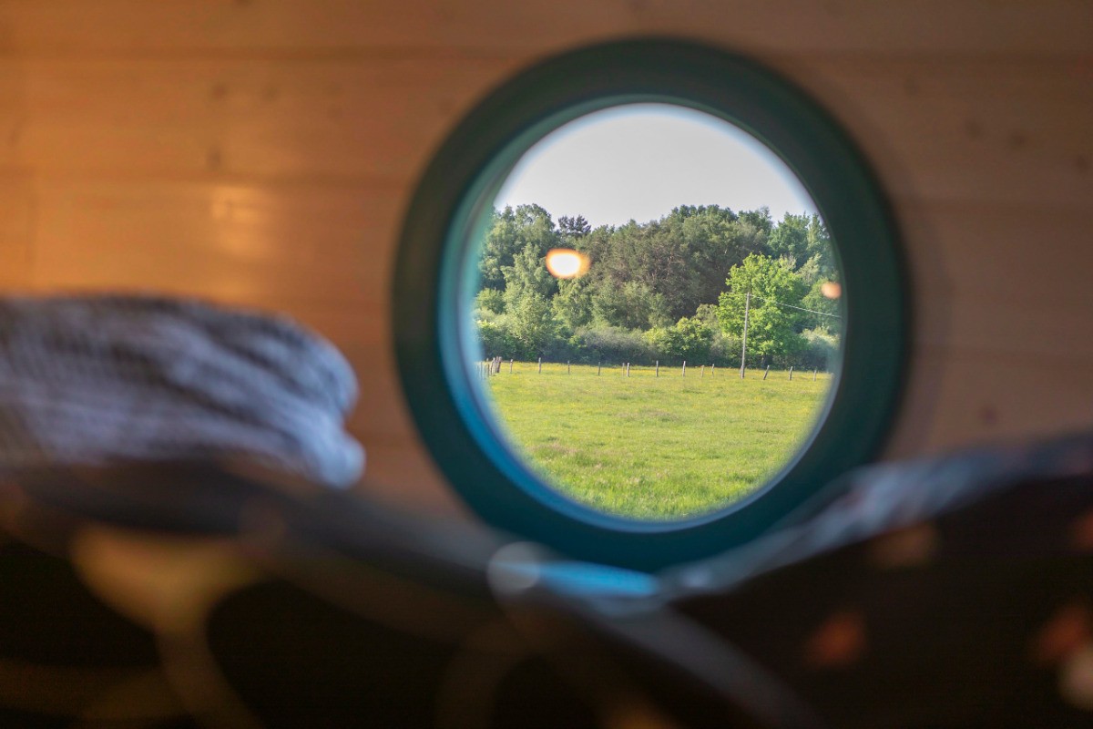 Vue depuis le logement - Tiny House O Ptit Nid Milie