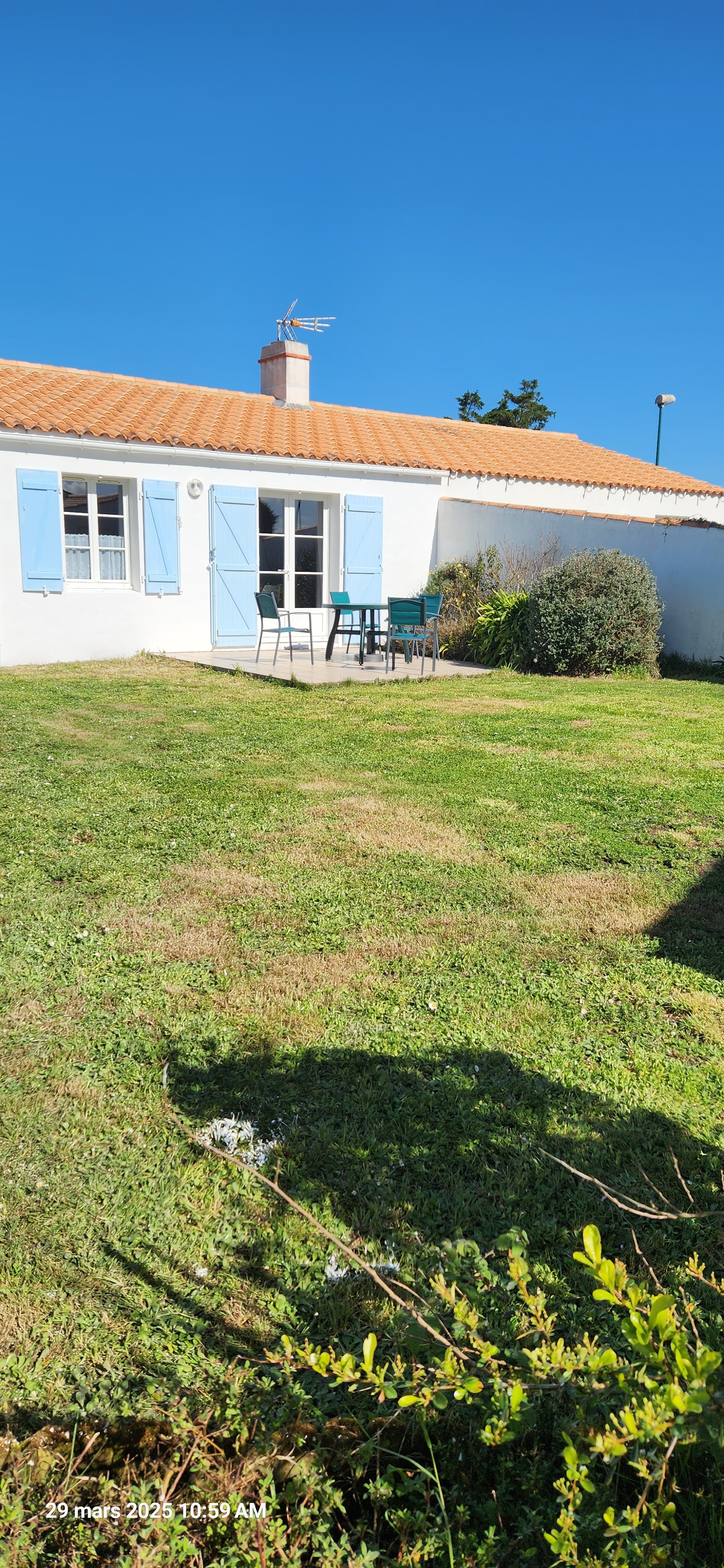 Terrasse Mimosa
