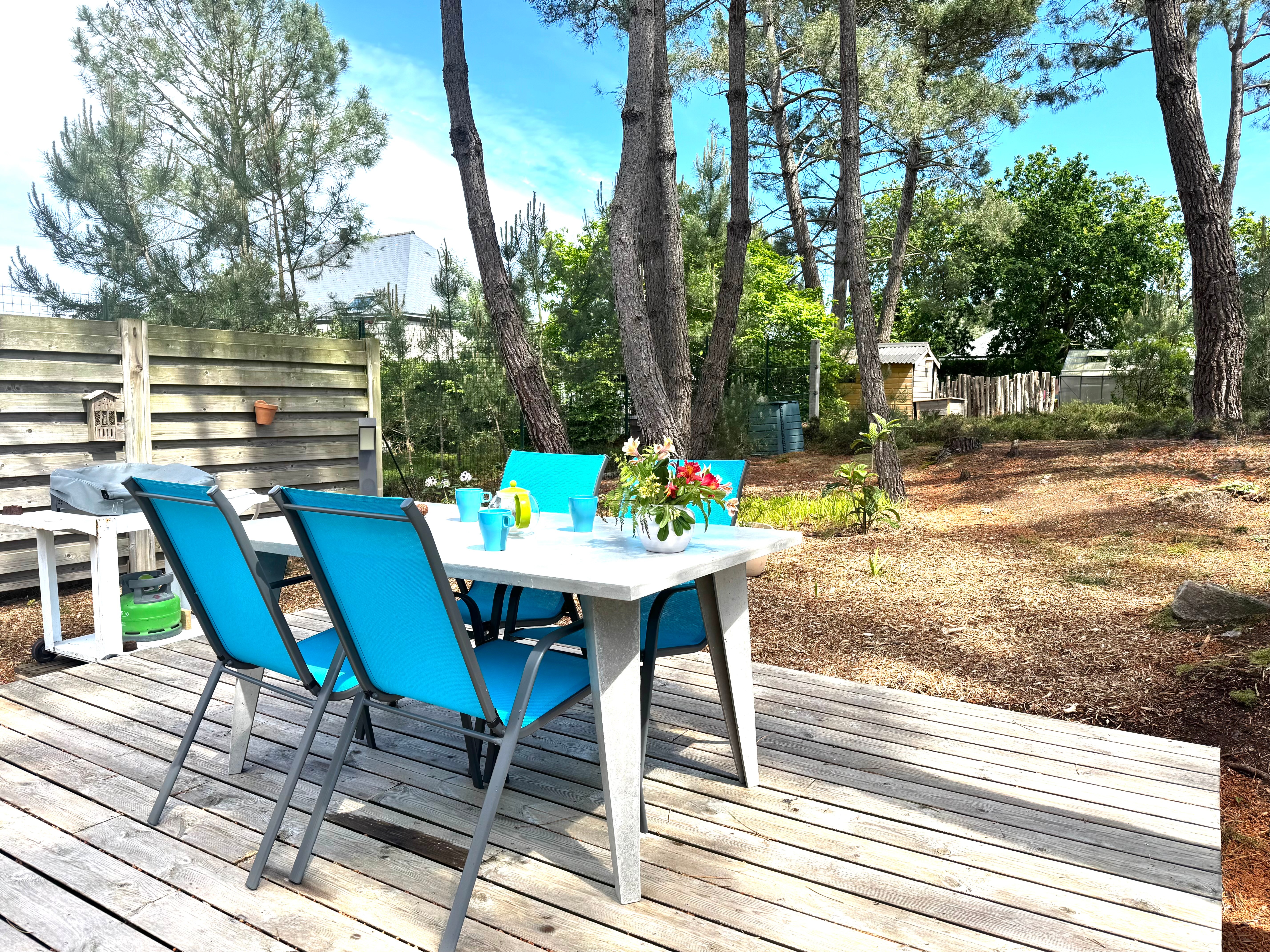Terrace in the pine forest