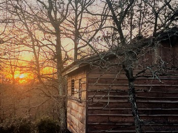 La Cabane Epicéa Le Lion d'Or Mauzac et Grand Castang 24150 Dordogne Clévacances