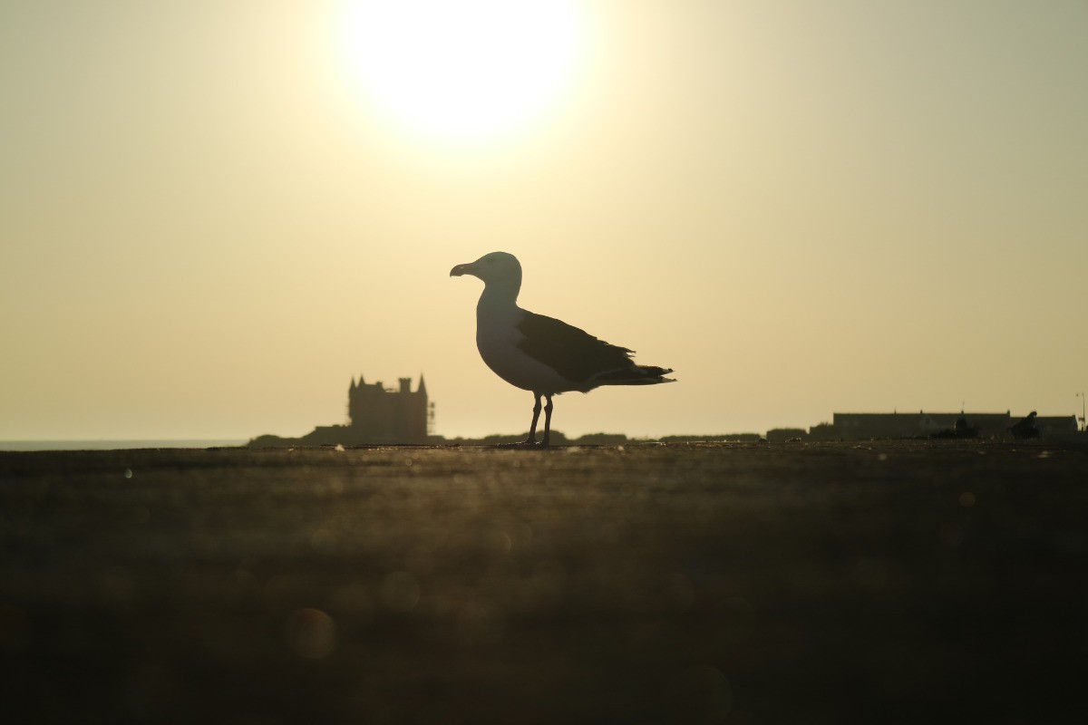 Photo n° 19 de la location