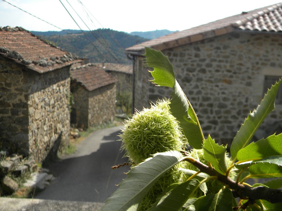 gite alice et clément dans maison de caractère