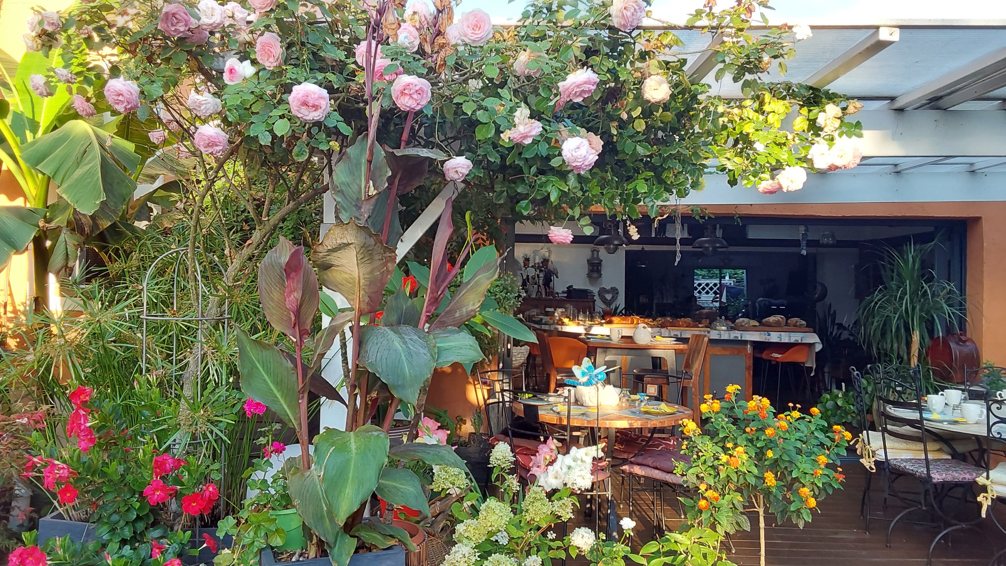 Terrasse du petit déjeuner