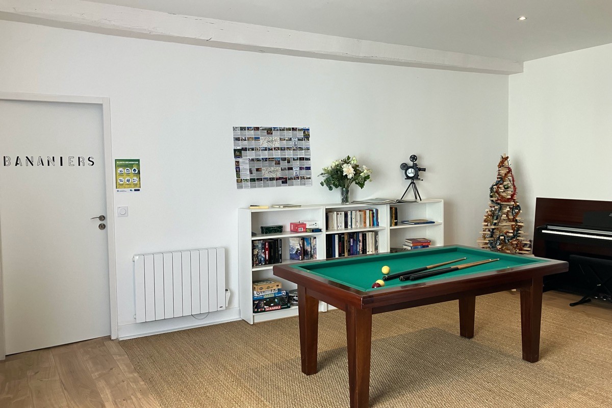salon vue billard FR