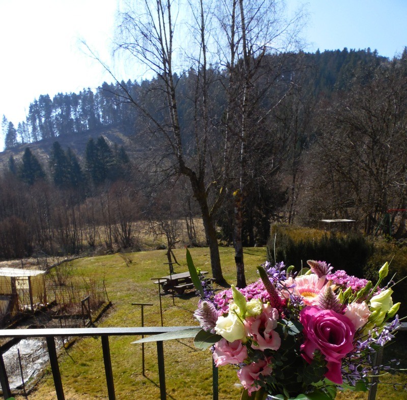 Terrasse à l'arrière de la maison avec vue sur le terrain