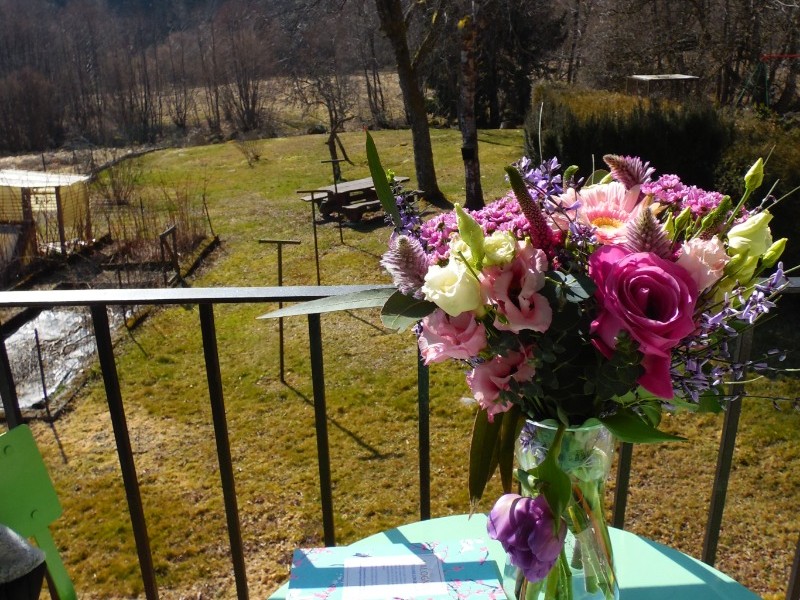 Terrasse à l'arrière de la maison avec vue sur le terrain