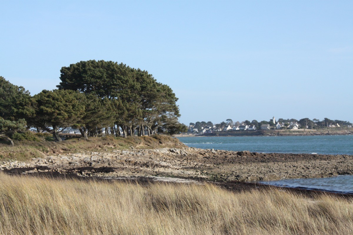 entrée du Golfe