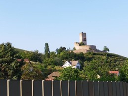 Image n° 5 de la location