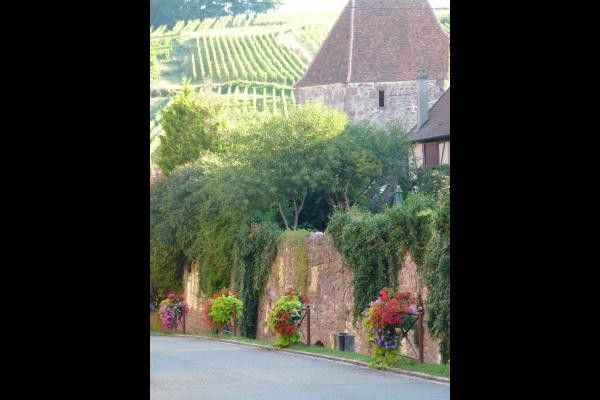 TOUR DES VOLEURS RIQUEWIHR