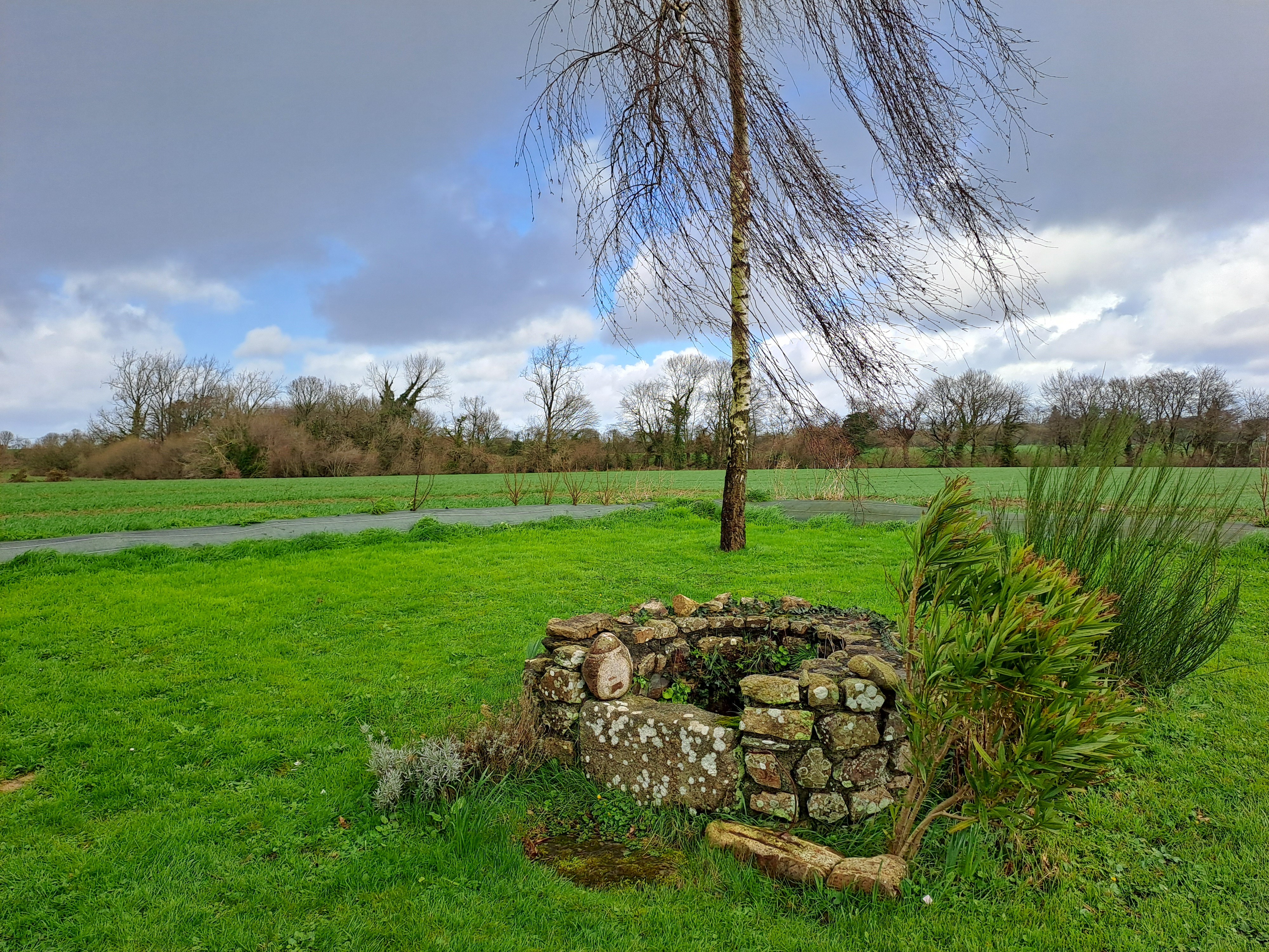 Photo n° 17 de la location