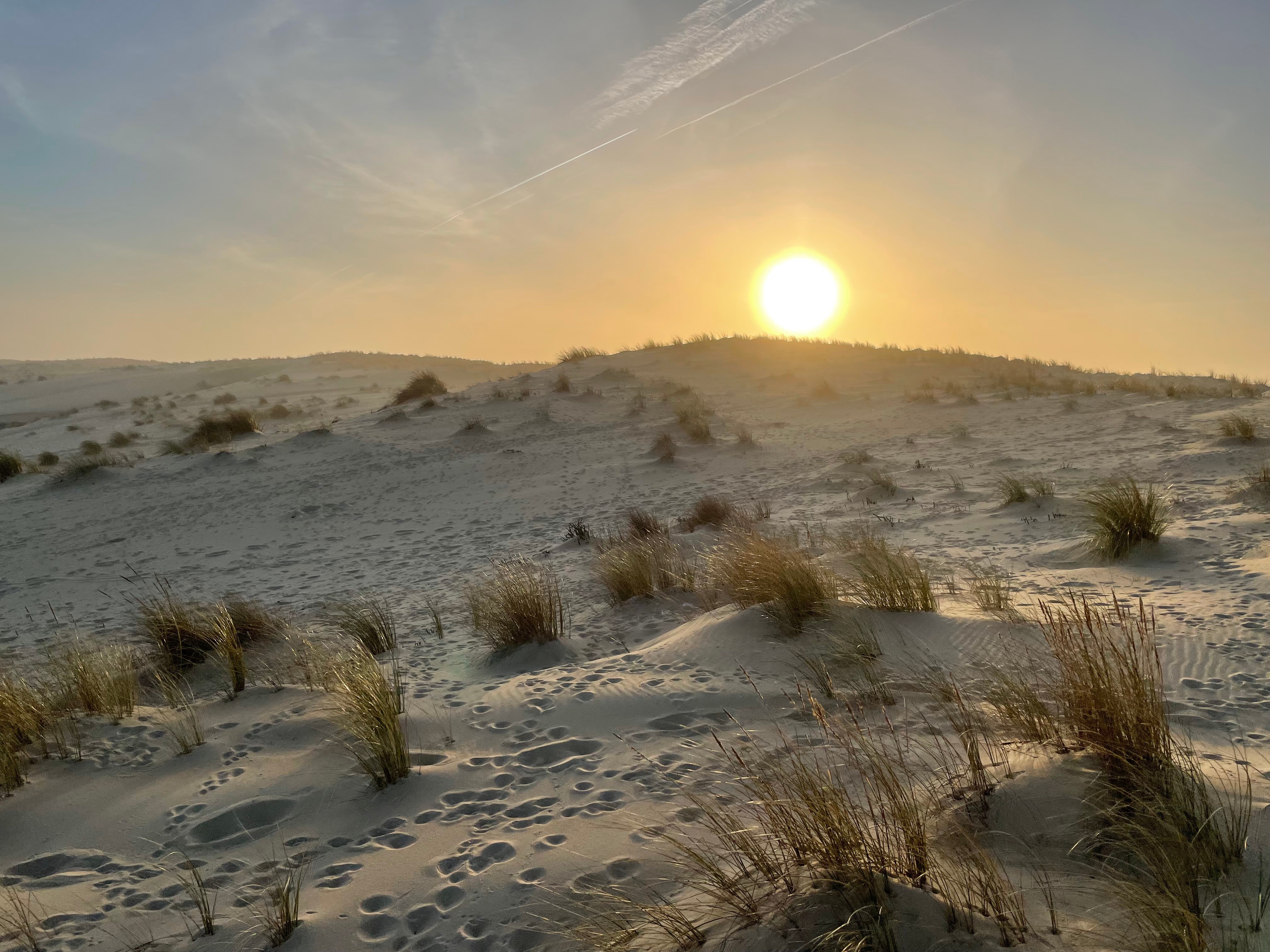 Photo n° 14 de la location