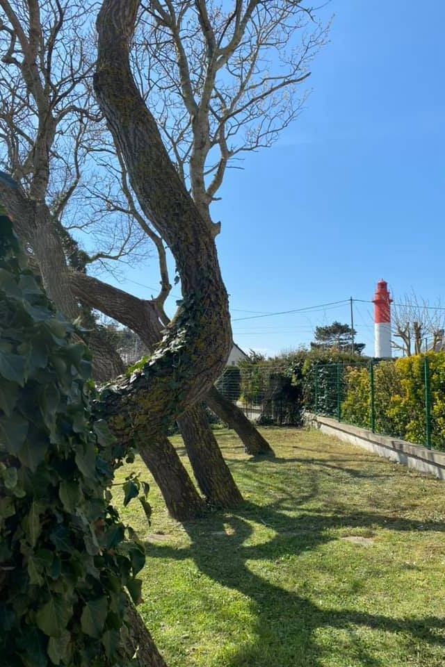 Photo n° 13 de la location