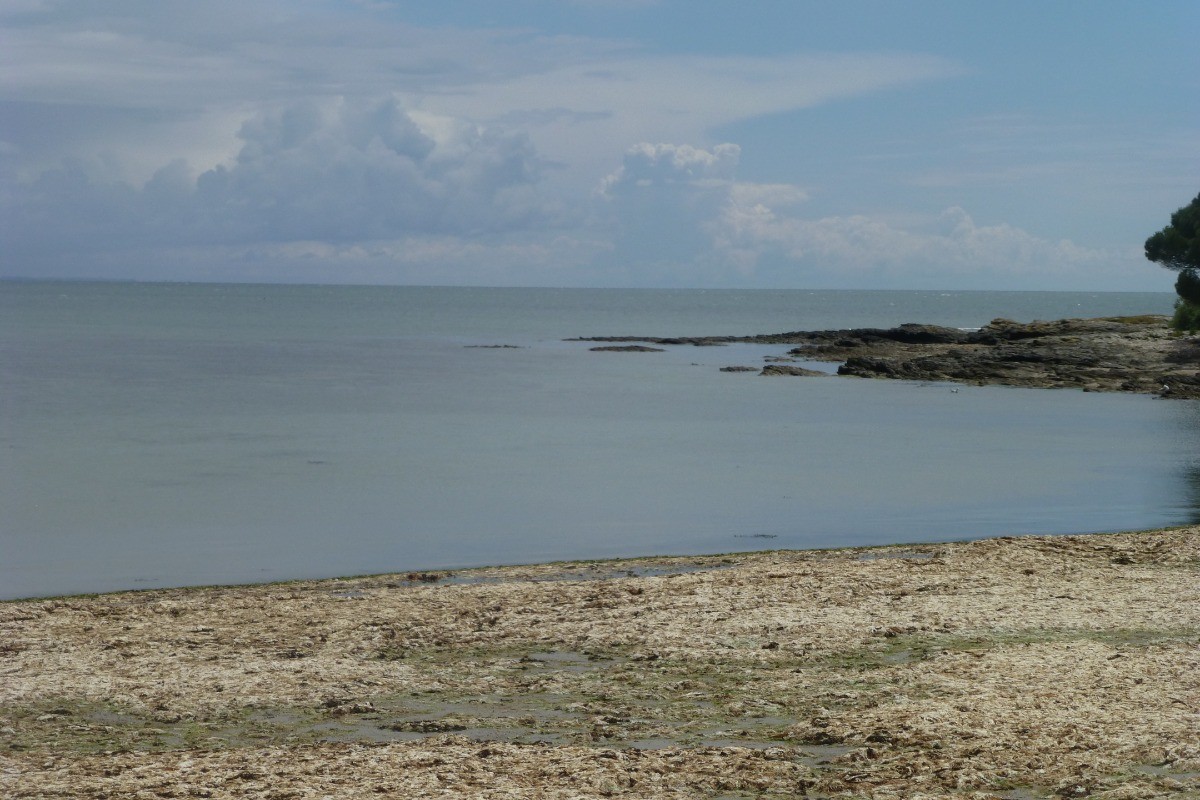 Photo n° 11 de la location