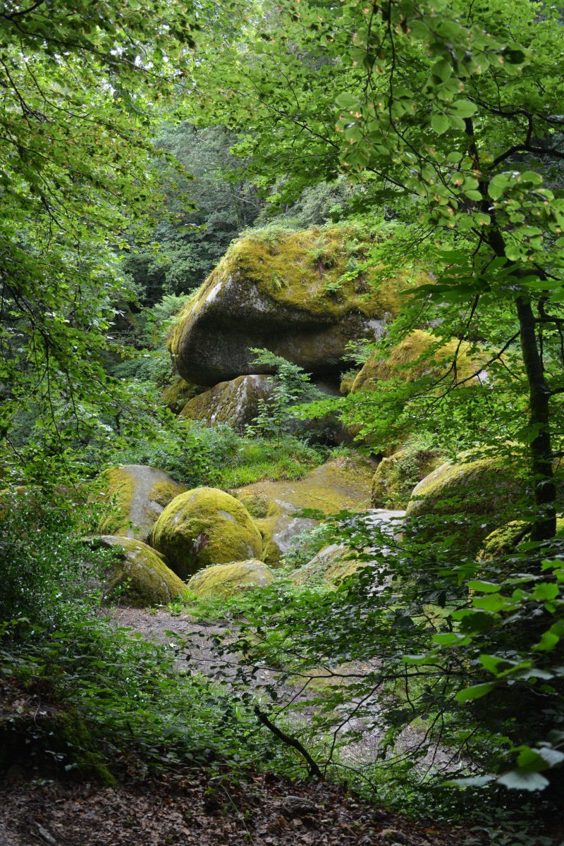 Forêt Bretonne (Huelgoat)