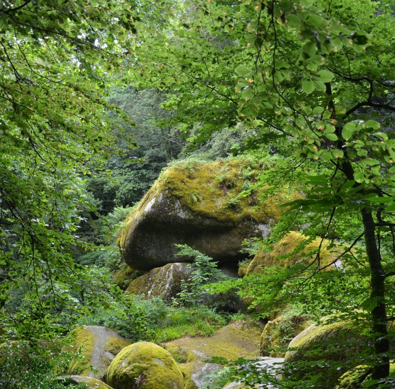 Forêt Bretonne (Huelgoat)