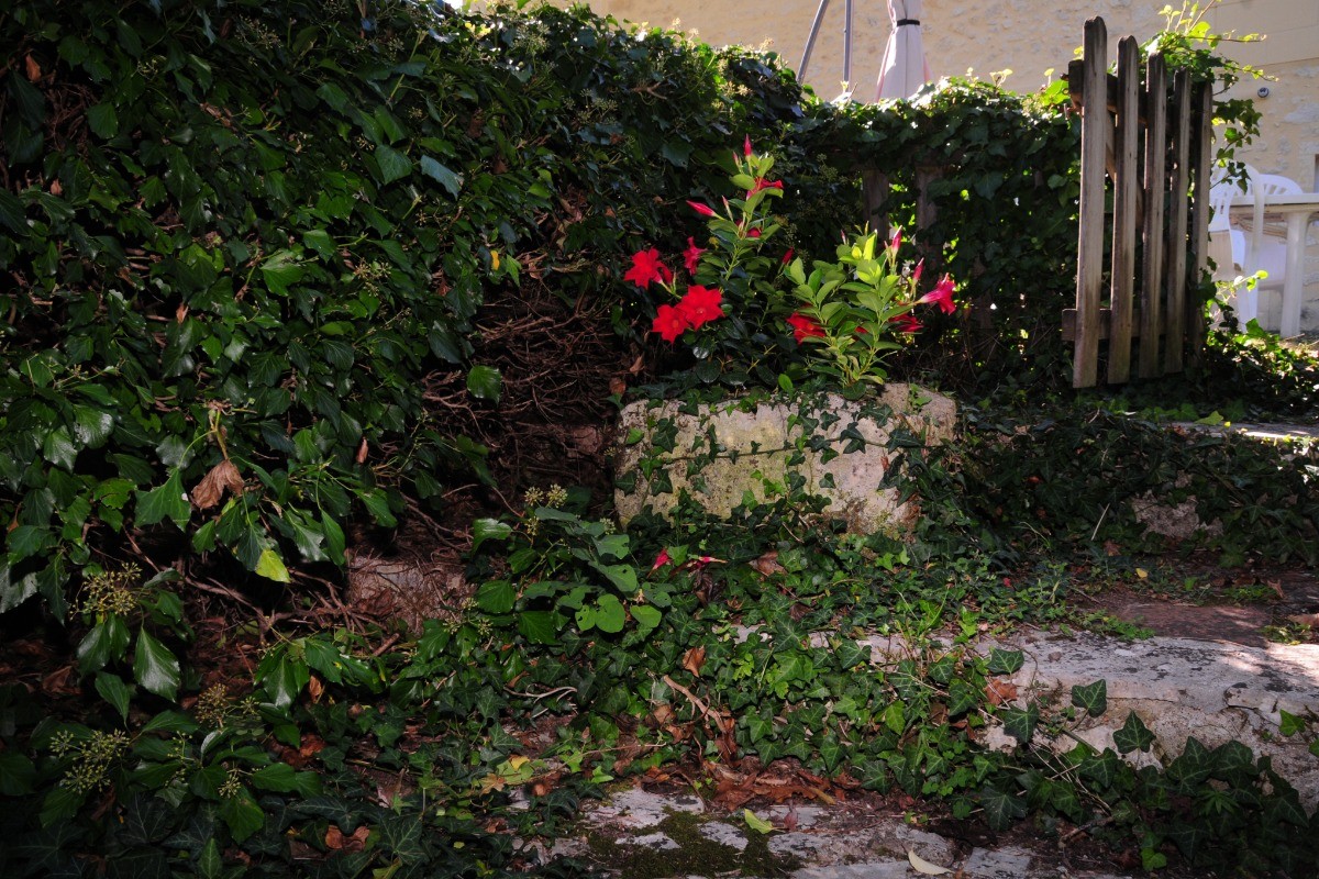 Photo n° 10 de la location