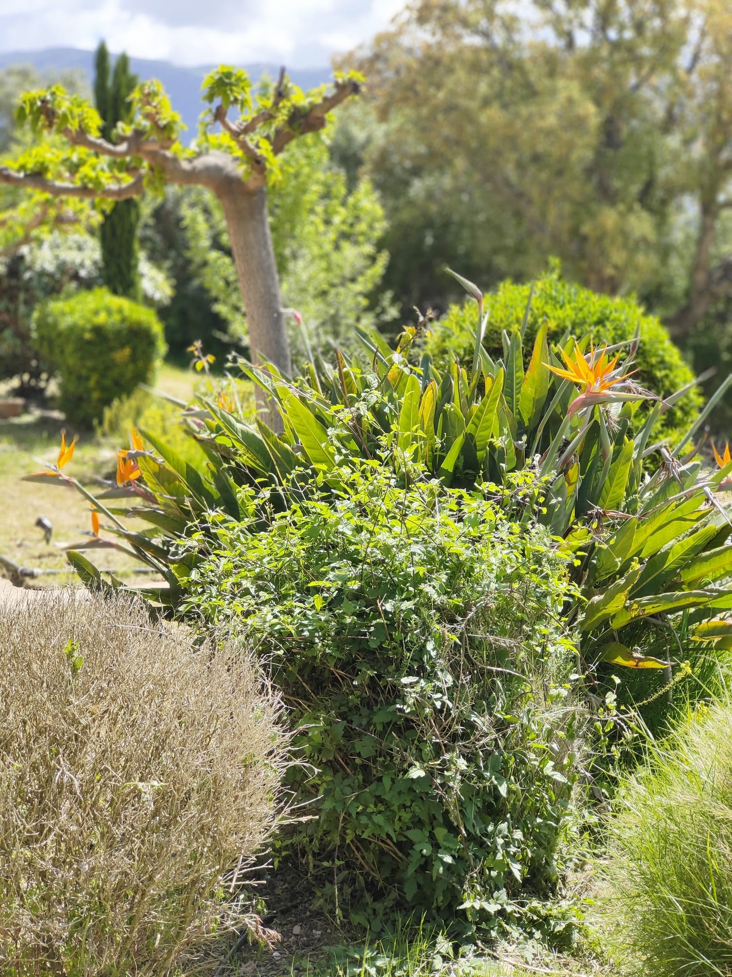 Photo n° 13 de la location