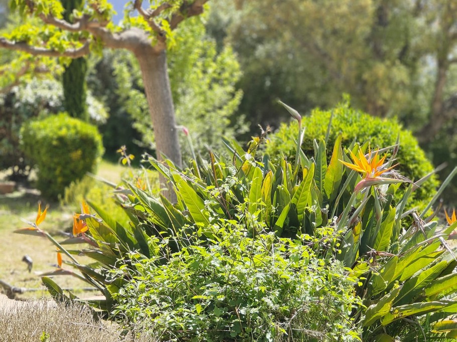 Photo n° 13 of the location