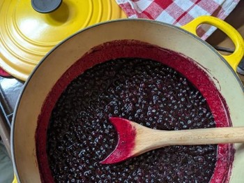 Chambre "La Lisière", la maison de Marie