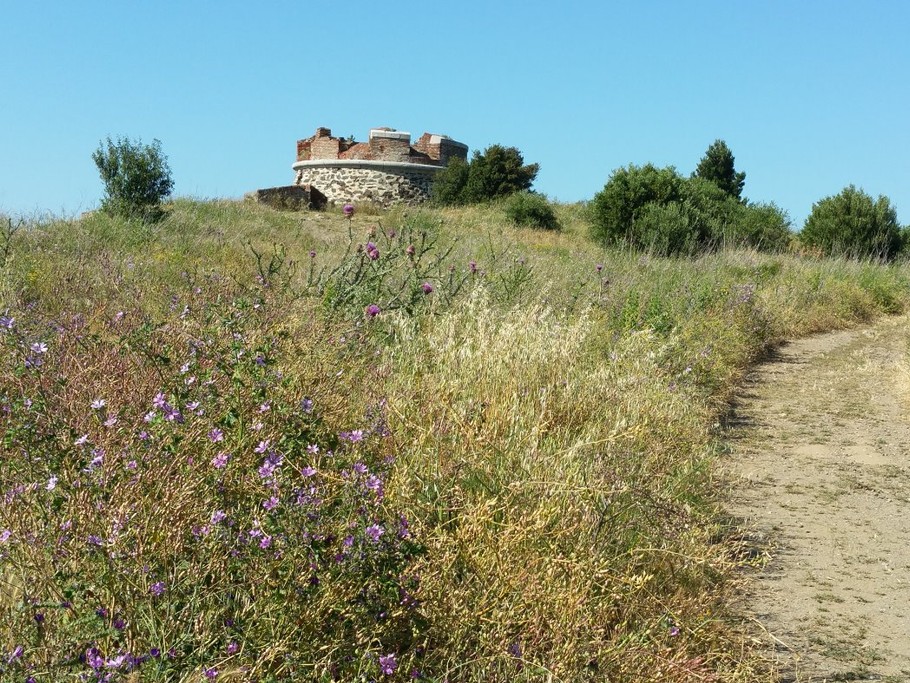 Pla de las Forques: The Round Fort