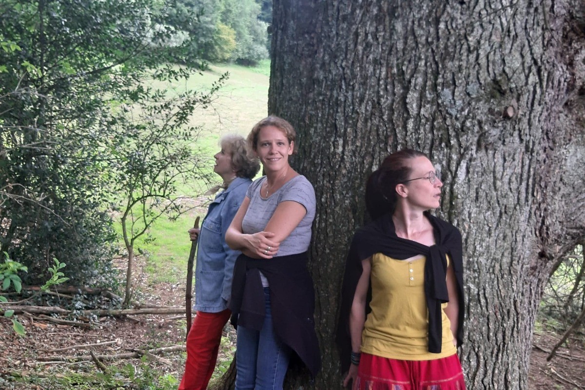 Dans le parc au pied des cèdres multicentenaires
