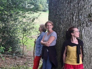 Dans le parc au pied des cèdres multicentenaires